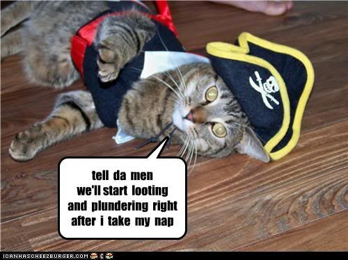 funny-pictures-cat-is-pirate.jpg